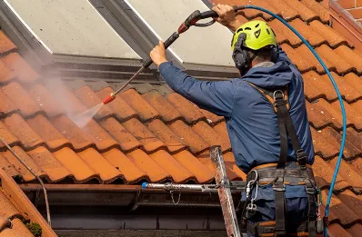 Démoussage et hydrofuge de toiture à Mannevillette